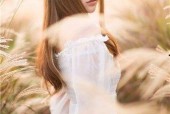 忘忧草红杏二区二区二,探寻神秘园地的奇幻之旅